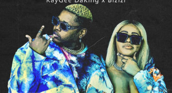 Kaygee DaKing & Bizizi – Inkwari (feat. Just Bheki & TNS)