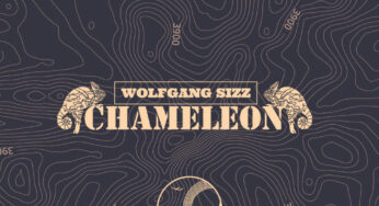 Wolfgang Sizz – Chameleon