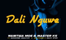 Wanitwa Mos & Master KG - Dali Nguwe (feat. Nkosazana Daughter, Basetsana & Obeey Amor)