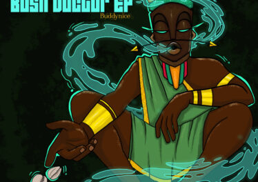Buddynice - Bush Doctor EP