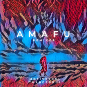 InQfive - Amafu (Remixes)