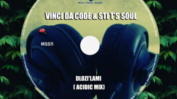 Vinci Da Code & STI T's Soul - Dlozi'lami (Acidic Mix)