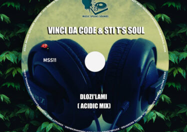 Vinci Da Code & STI T's Soul - Dlozi'lami (Acidic Mix)