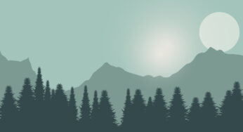 Wolfgang Sizz – In The Woods Somewhere EP