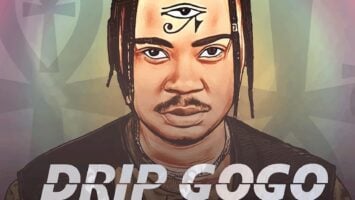 Drip Gogo - uNobubele (feat. Mvzzle & Mazet SA)