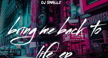 DJ Smallz – Bring Me Back To My Life EP