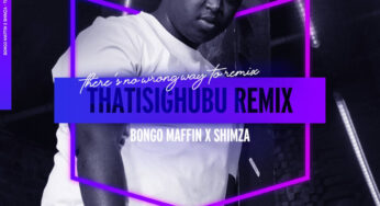 Bongo Maffin – Thath’isigubhu (Shimza Remix)