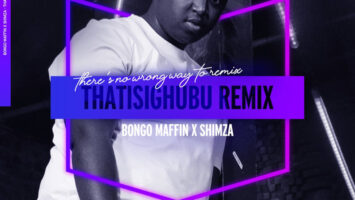 Bongo Maffin - Thath'isigubhu (Shimza Remix)