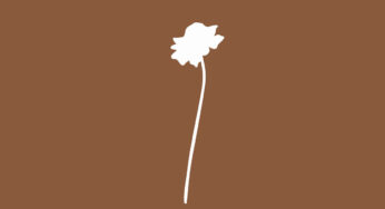 Nutty Nys – Sent