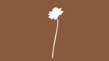 Nutty Nys - Sent