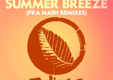 N'Dinga Gaba, Sahffi - Summer Breeze (Fka Mash Remixes)
