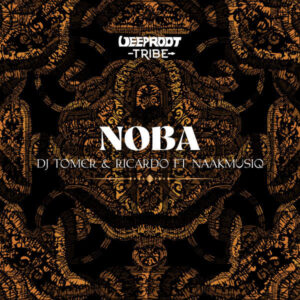 DJ Tomer & Ricardo - Noba (feat. NaakMusiQ)
