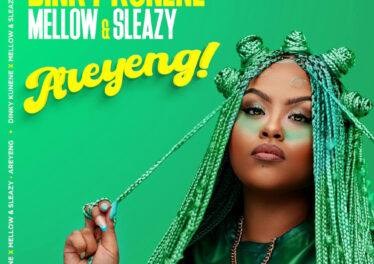 Dinky Kunene & Mellow & Sleazy - Areyeng