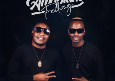 Mapara A Jazz - Amapiano Feeling (Album)