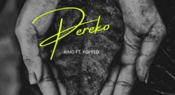 Aimo, Kopelo – Pereko (Benny T Remix)