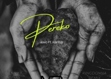 Aimo, Kopelo - Pereko (Benny T Remix)