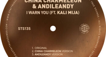 China Charmeleon & AndileAndy, Kali Mija – I Warn You (China Charmeleon Version)