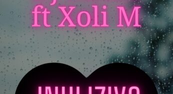 DJ Micks – Inhliziyo (feat. Xoli M)