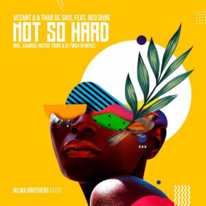 Vesant Q, Thab De Soul, Neo Dube - Not So Hard (Incl. Remixes)