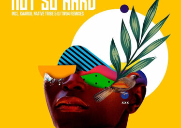 Vesant Q, Thab De Soul, Neo Dube - Not So Hard (Incl. Remixes)