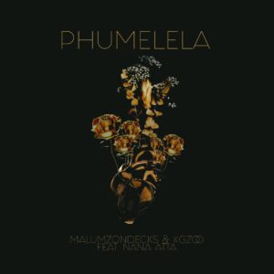 Malumz on Decks & Kgzoo - Phumelela (feat. Nana Atta)