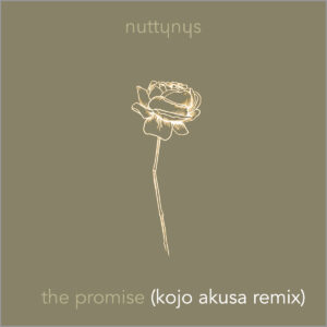 Nutty Nys - The Promise (Kojo Akusa Remix)