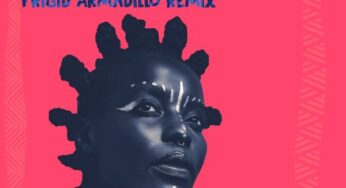 Punk Mbedzi, Euggy & Akoth Jumadi – Weche (Frigid Armadillo Remix)