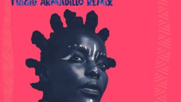 Punk Mbedzi, Euggy & Akoth Jumadi - Weche (Frigid Armadillo Remix)