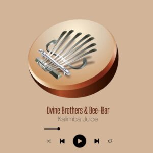 Dvine Brothers & Bee-Bar - Kalimba Juice