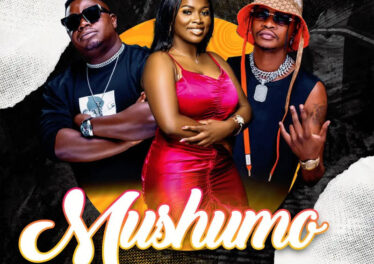 Kaytee - Mushumo (feat. Mr Brown & Airburn Sounds)