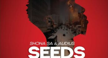 Shona SA & Audius – Totems (feat. DJ Fresh SA)