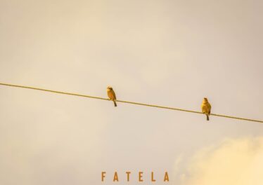 Aymos & Ami Faku - Fatela