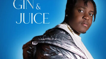 DJ Michel - Gin & Juice (feat. Teddy & BeeKay)