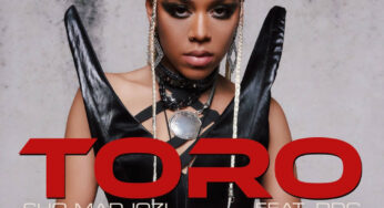 Sho Madjozi – Toro (feat. DDG)