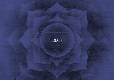 VA - Root Influence 3