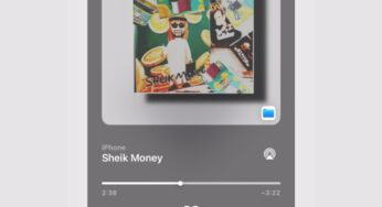 FLUXX, Tapes & 2woBunnies – Sheik Money