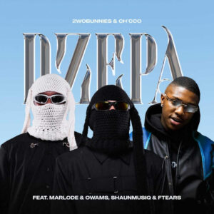 2woBunnies & Ch'cco - Dzepa (feat. Marlode & Owams, ShaunMusiq & Ftears)