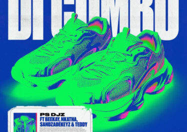 PS DJz - Dicombo (feat. BeeKay, Nkatha & Sandzadekeys)