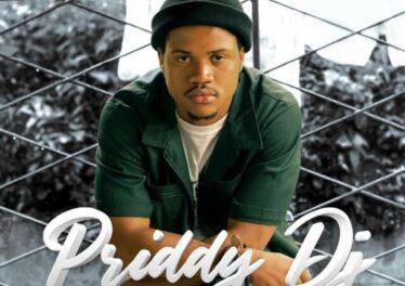 Priddy DJ - Bayaphithizela (feat. Big John & Amahle)