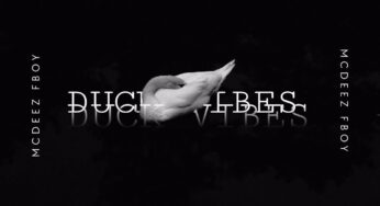 Vibekulture SA & Mcdeez Fboy – Duck Vibes