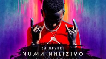 DJ Raybel - Vuma Nhliziyo (feat. Sburhaiirsh & Zeh McGeba)