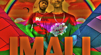 Fiso El Musica & LeeMckrazy – Imali (feat. Mjoox45 & Tracy)