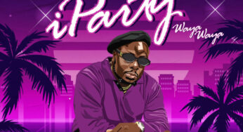 Myztro – EVERYDAY iParty Waya Waya (feat. Dr Peppa, Lady Du, ShaunMusiQ & Ftears)