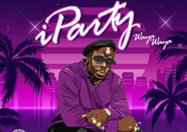 Myztro -EVERYDAY iParty Waya Waya (feat. Dr Peppa, Lady Du, ShaunMusiQ & Ftears)