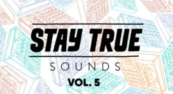 Stay True Sounds Vol.5 (Compiled by Kid Fonque)