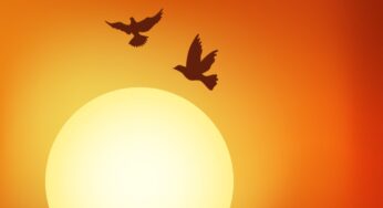 The Godfathers Of Deep House SA & M.PATRICK – B1v the Sun Sets (Saudade Selections IV)