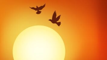 The Godfathers Of Deep House SA & M.PATRICK - B1v the Sun Sets (Saudade Selections IV)
