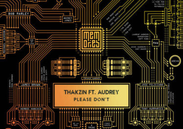 Thakzin - Please Don't (feat. Audrey) &bull; Download MP3