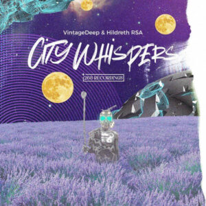 VintageDeep & Hildreth RSA - City Whispers EP