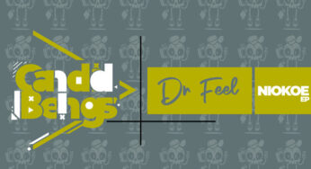 Dr Feel – Niokoe EP